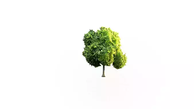 Low Poly Tree Stylish