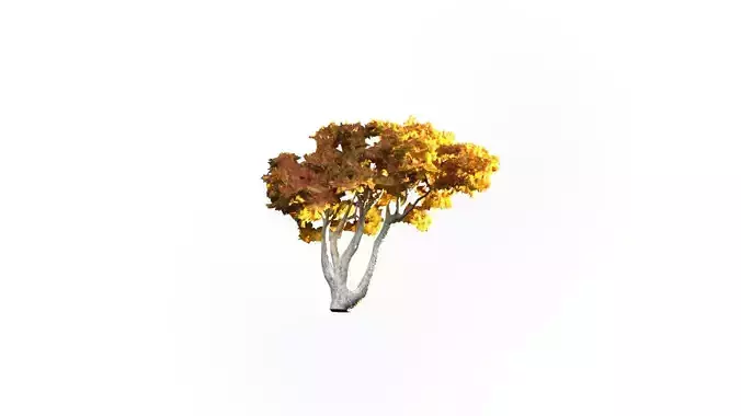 Low Poly Tree Autumn Stylish Low-poly 3D model
