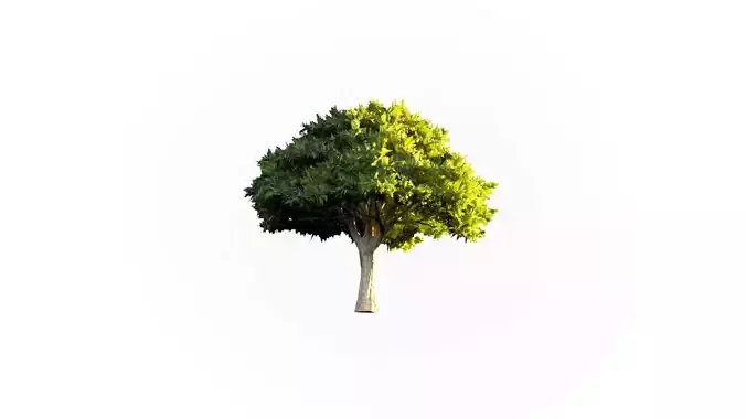 Low Poly Tree Stylish Low-poly 3D model