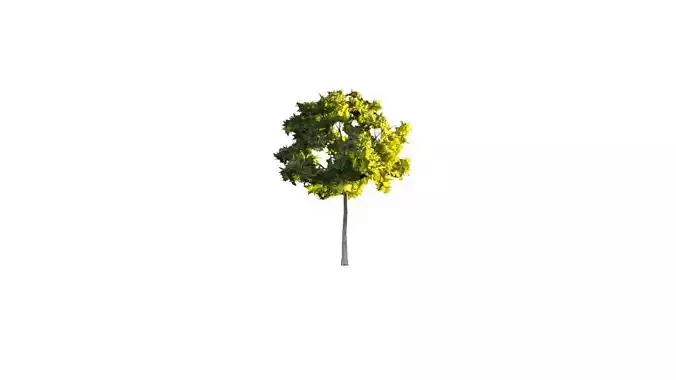 Low Poly Tree Stylish Low-poly 3D model