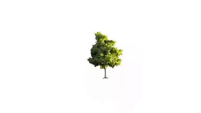 Low Poly Tree Stylish Low-poly 3D model