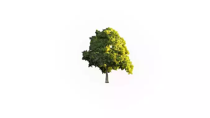Low Poly Tree Stylish Low-poly 3D model