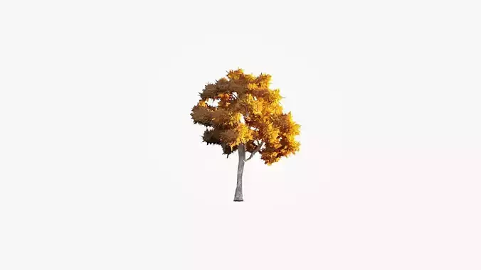 Low Poly Tree Autumn Stylish Low-poly 3D model