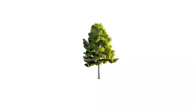 Low Poly Tree Stylish