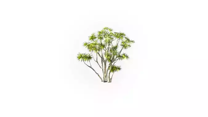 Low Poly Bush Tree Stylish Low-poly 3D model