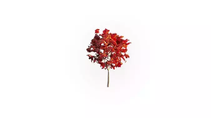 Low Poly Tree Autumn Stylish Low-poly 3D model