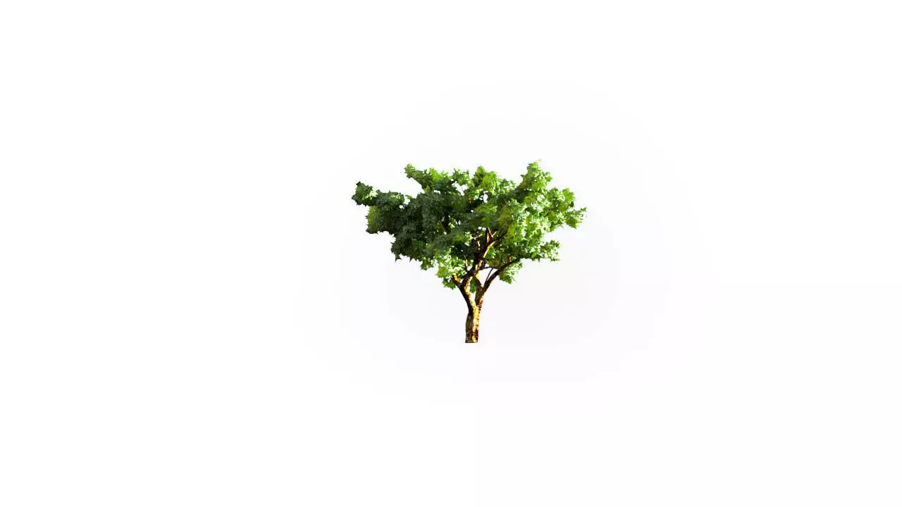 Low Poly Tree Stylish Low-poly 3D model_0