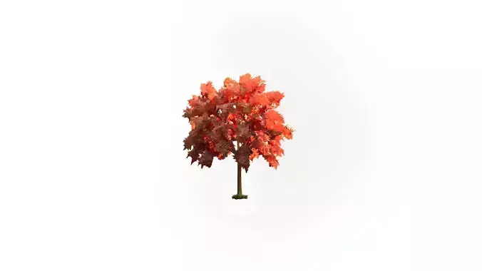 Low Poly Tree Autumn Stylish Low-poly 3D model