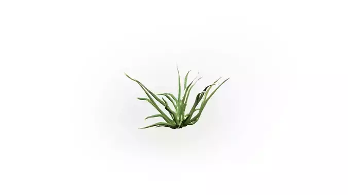 Low Poly Plant Stylish Low-poly 3D model