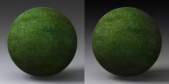 Grass Landscape Shader 004 Texture