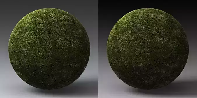 Grass Landscape Shader 019 Texture