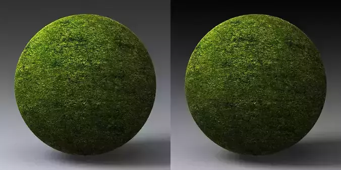 Grass Landscape Shader 020 Texture