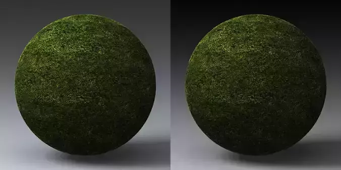 Grass Landscape Shader 021