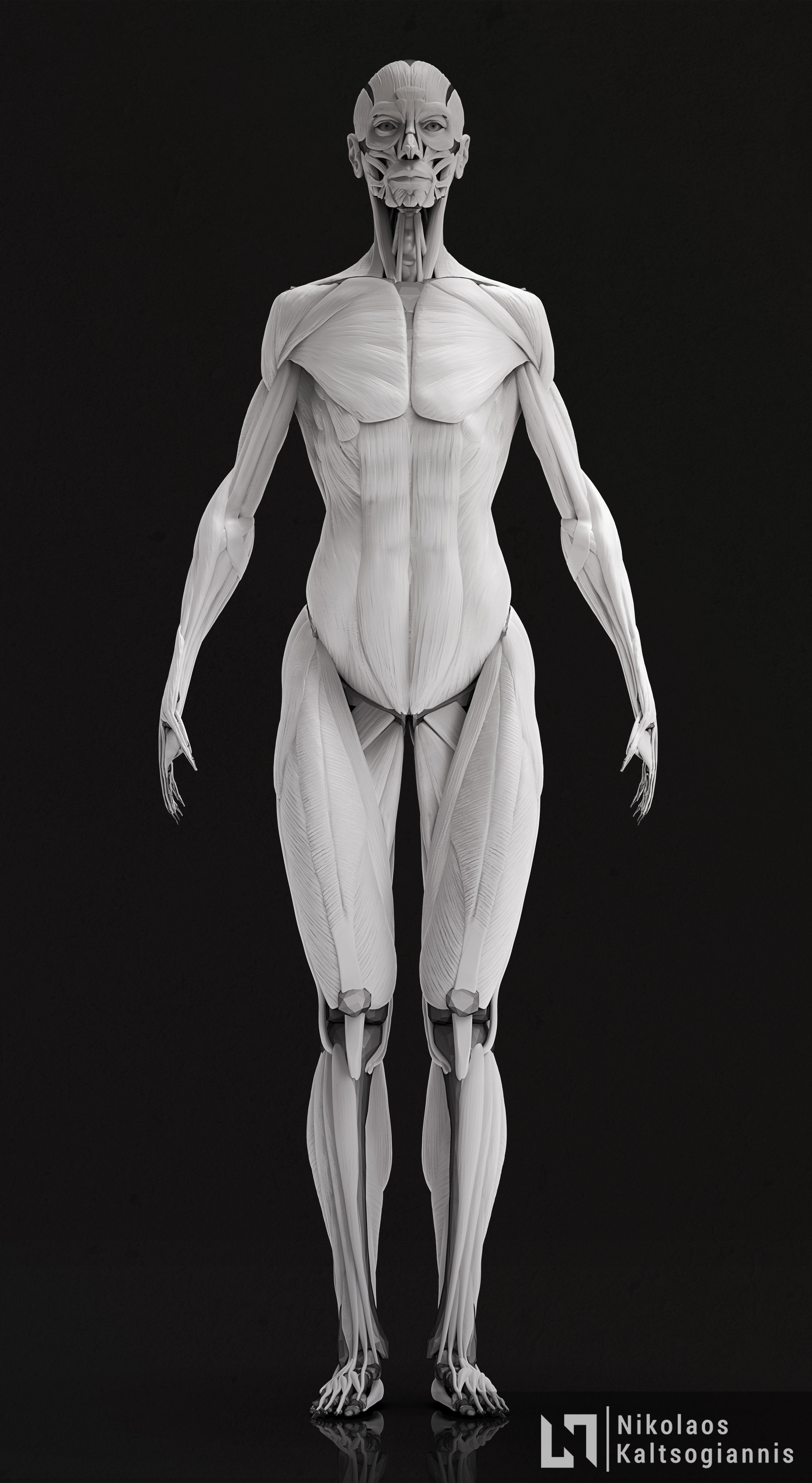 Female Ecorche - Anatomy Study 3D model_1