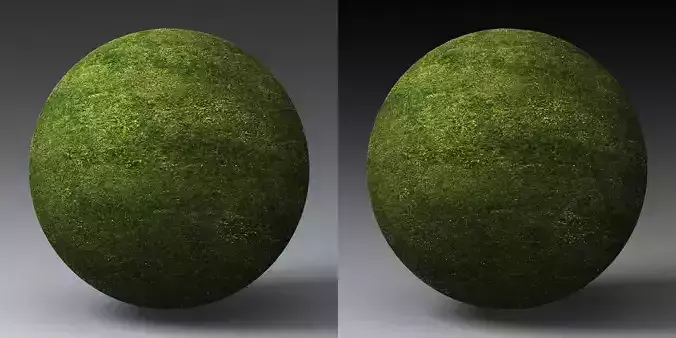 Grass Landscape Shader 031