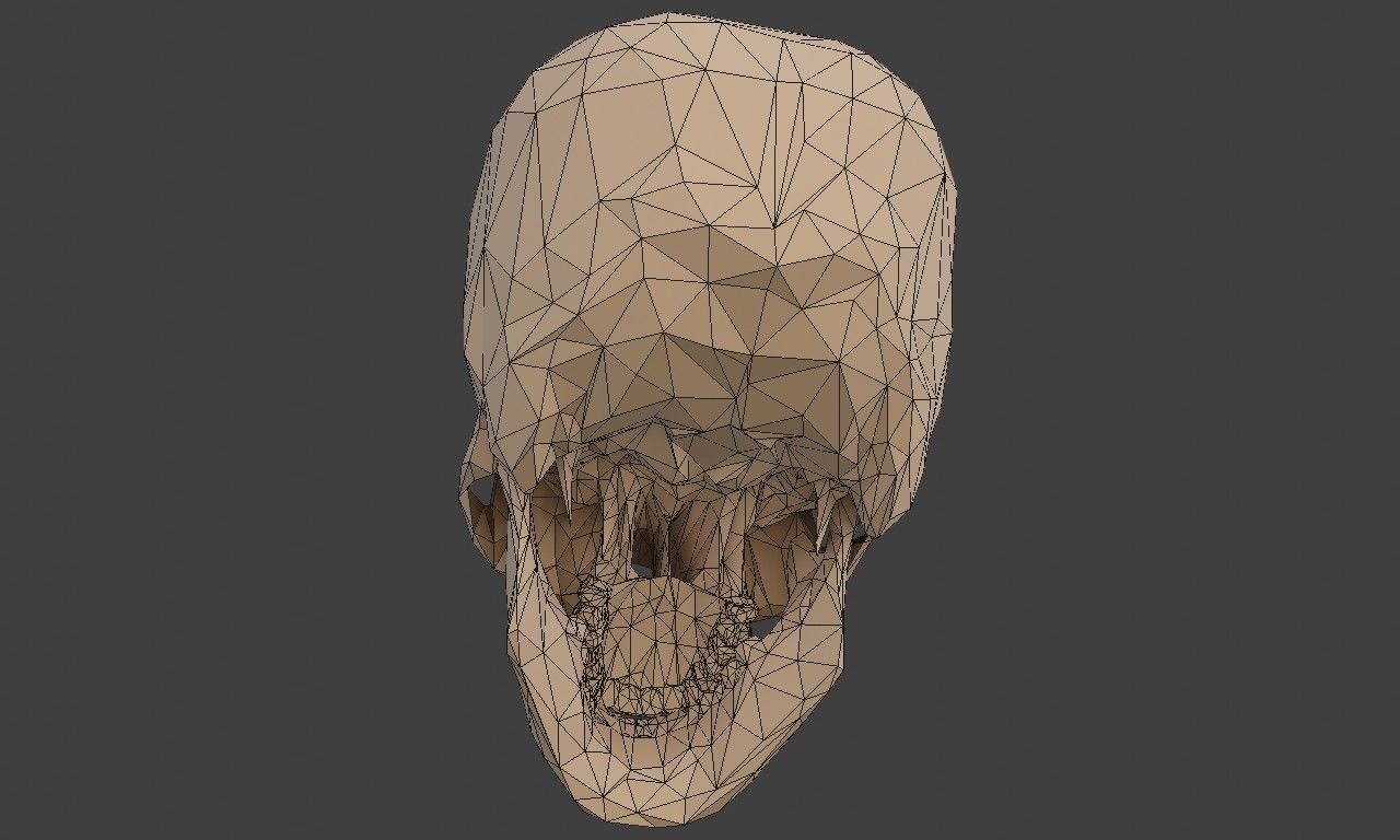 Low poly human skull Low-poly 3D model_12