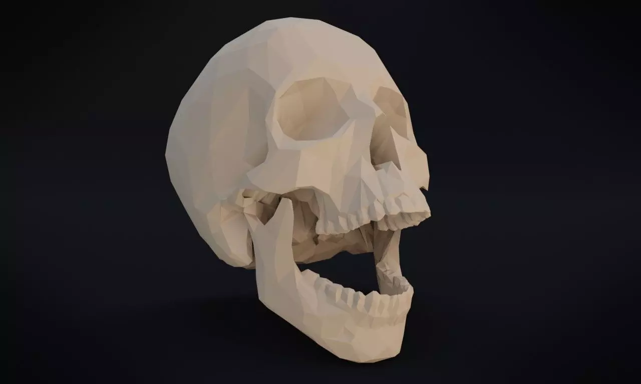Low poly human skull Low-poly 3D model_0