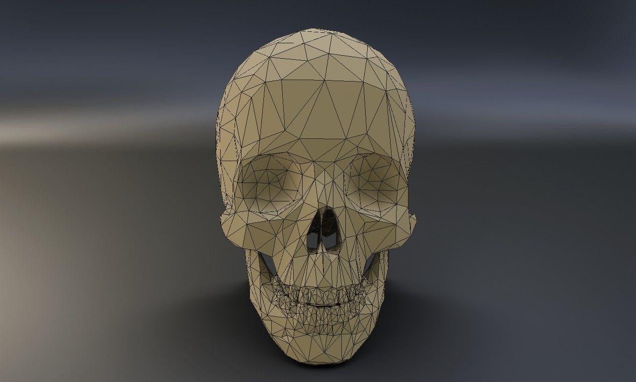 Low poly human skull Low-poly 3D model_18