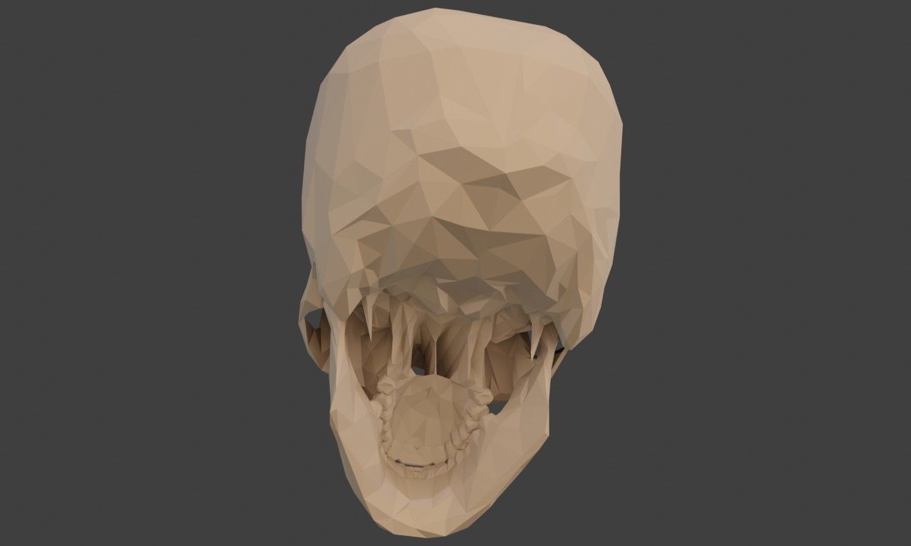 Low poly human skull Low-poly 3D model_11