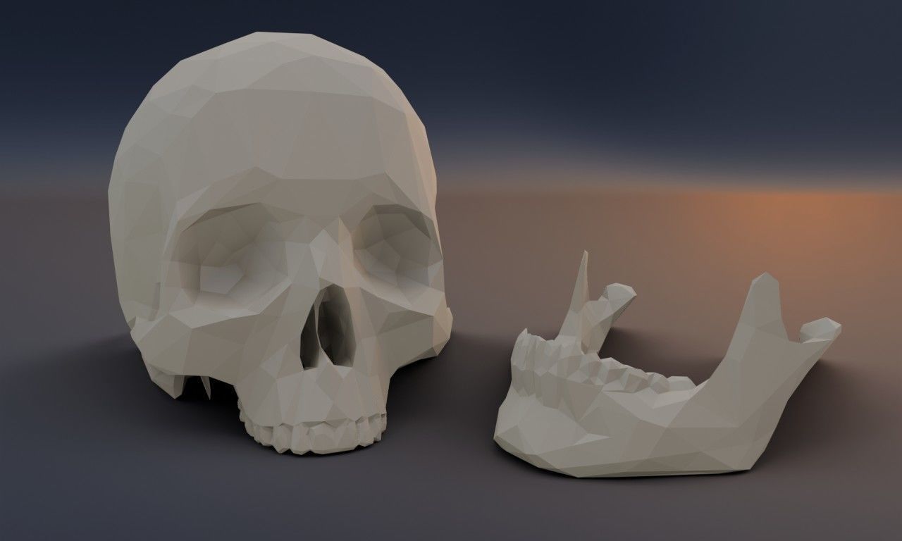 Low poly human skull Low-poly 3D model_1