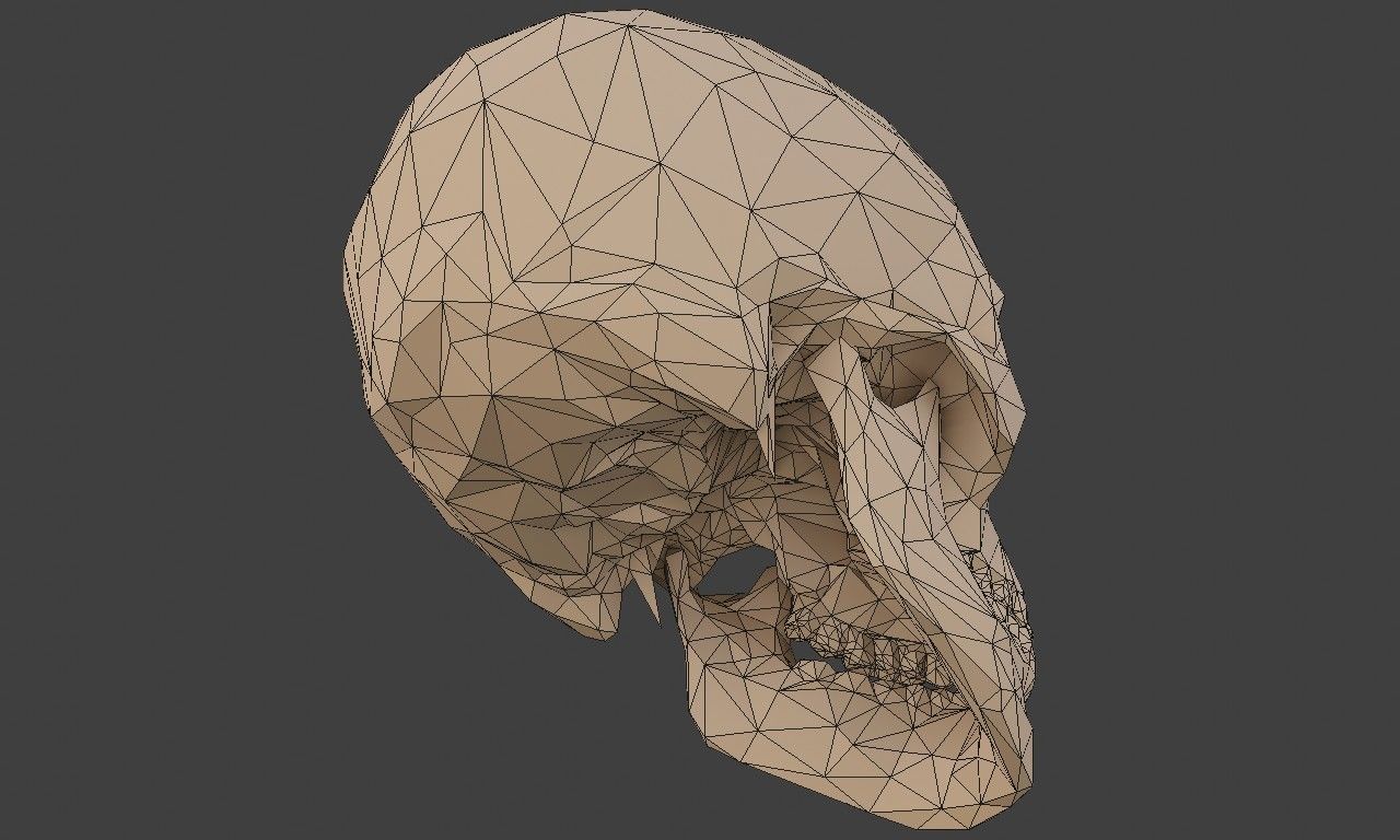 Low poly human skull Low-poly 3D model_14