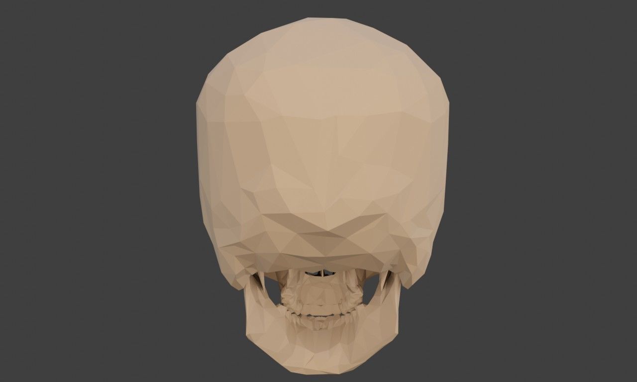 Low poly human skull Low-poly 3D model_15