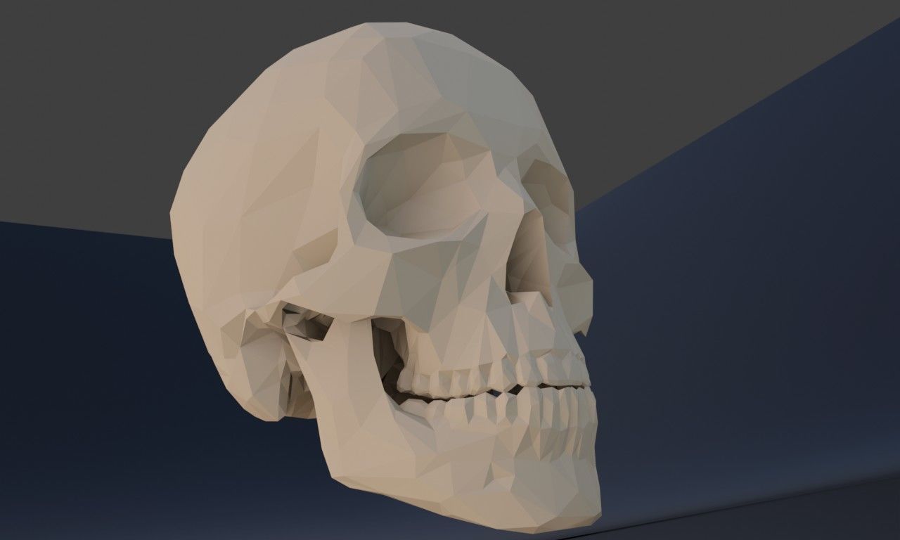 Low poly human skull Low-poly 3D model_9
