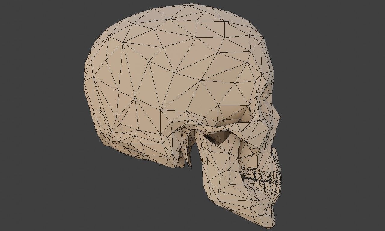 Low poly human skull Low-poly 3D model_20