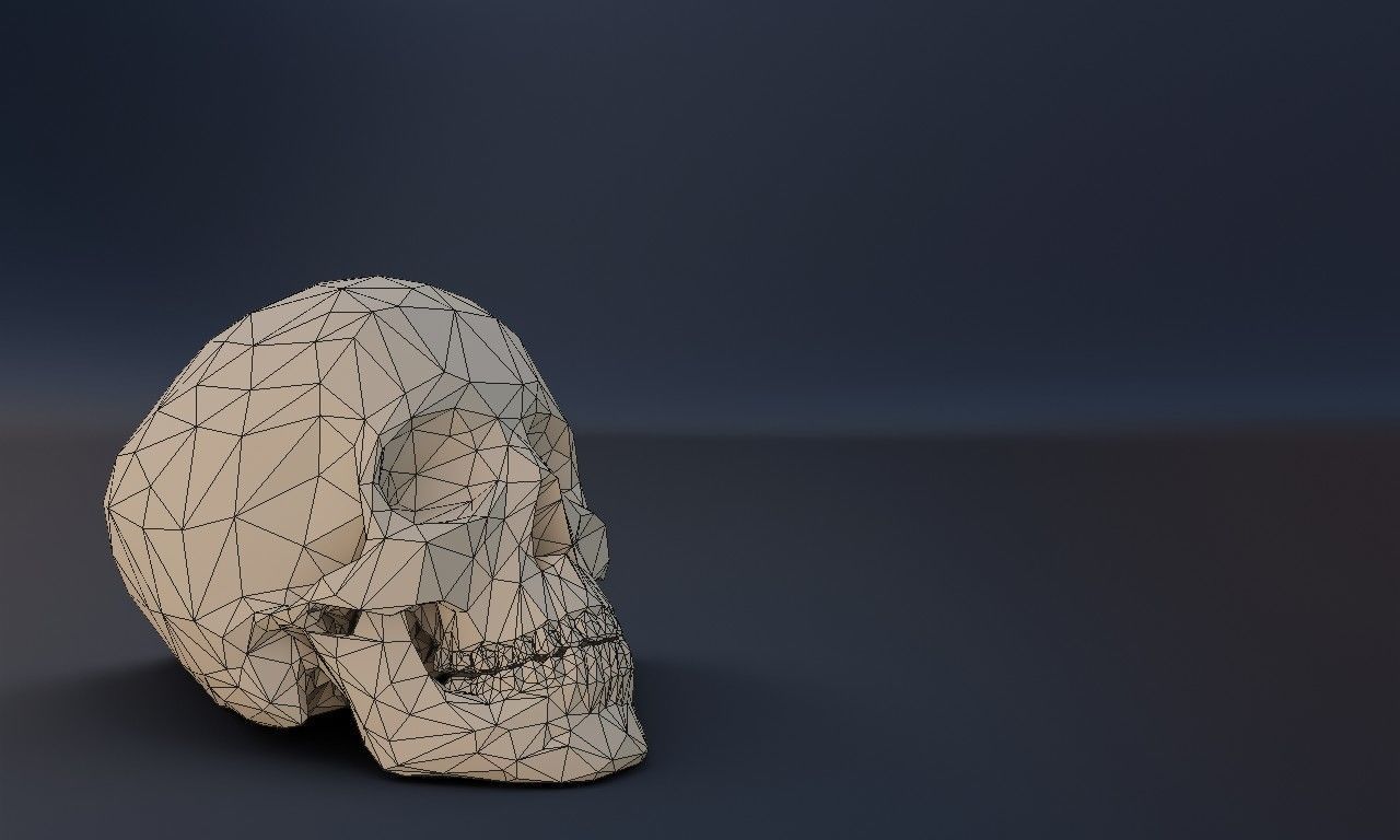 Low poly human skull Low-poly 3D model_6