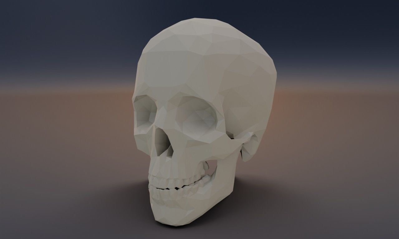 Low poly human skull Low-poly 3D model_3