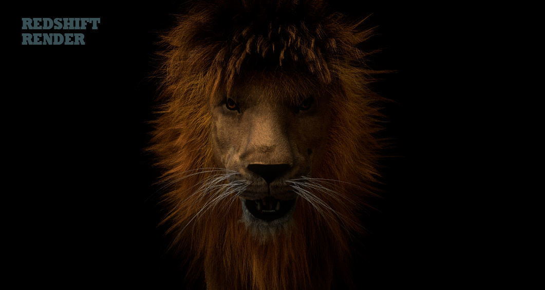 Lion 3D 3D model_2