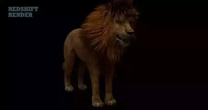 Lion 3D