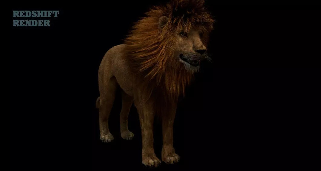Lion 3D 3D model_0