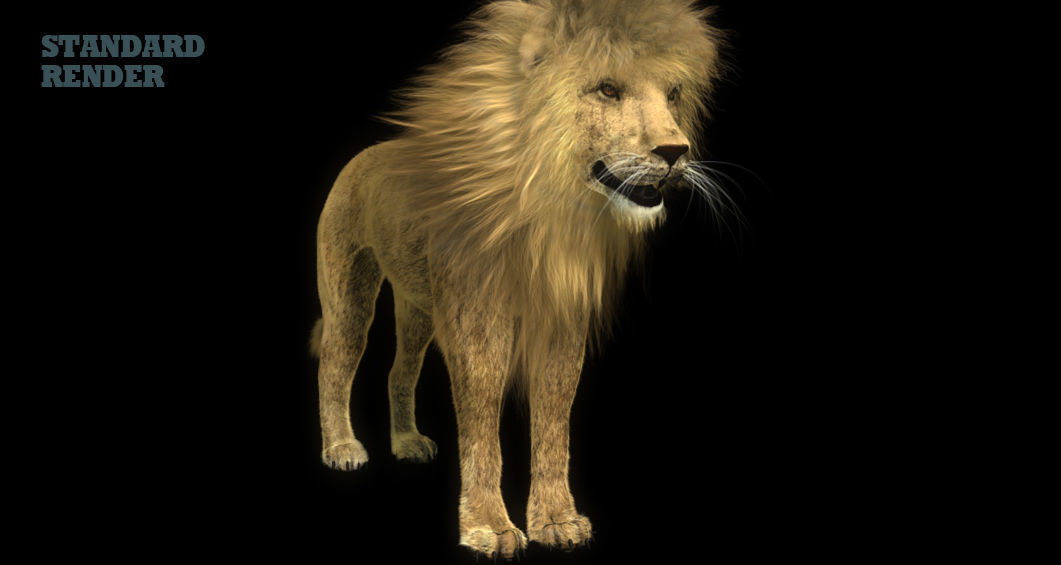 Lion 3D 3D model_1