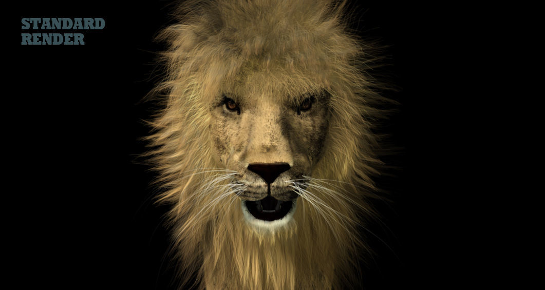 Lion 3D 3D model_3