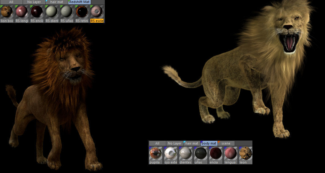 Lion 3D 3D model_4