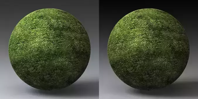 Grass Landscape Shader 037