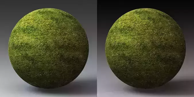 Grass Landscape Shader 050