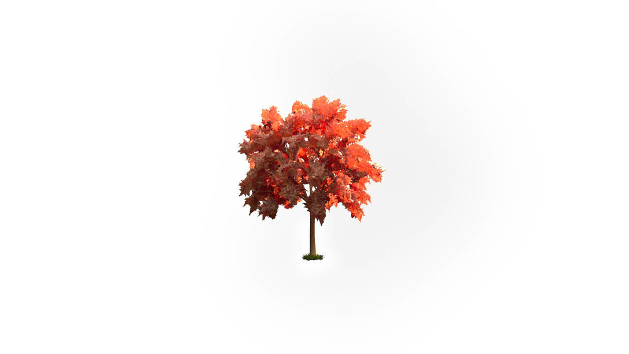 Low Poly Forest Summer Autumn Winter Stylish Low-poly 3D model_5
