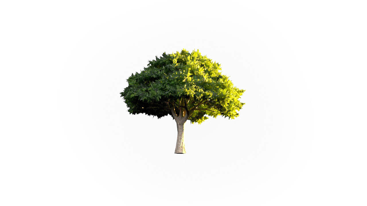 Low Poly Forest Summer Autumn Winter Stylish Low-poly 3D model_35