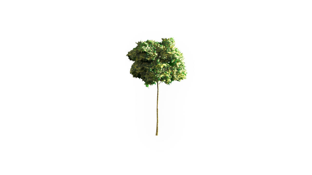 Low Poly Forest Summer Autumn Winter Stylish Low-poly 3D model_18
