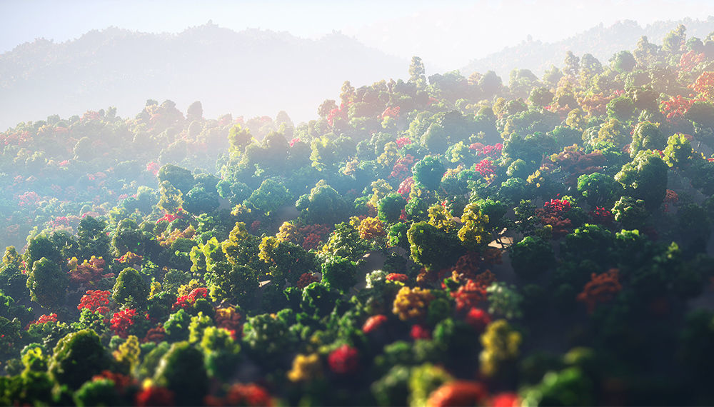 Low Poly Forest Summer Autumn Winter Stylish Low-poly 3D model_1