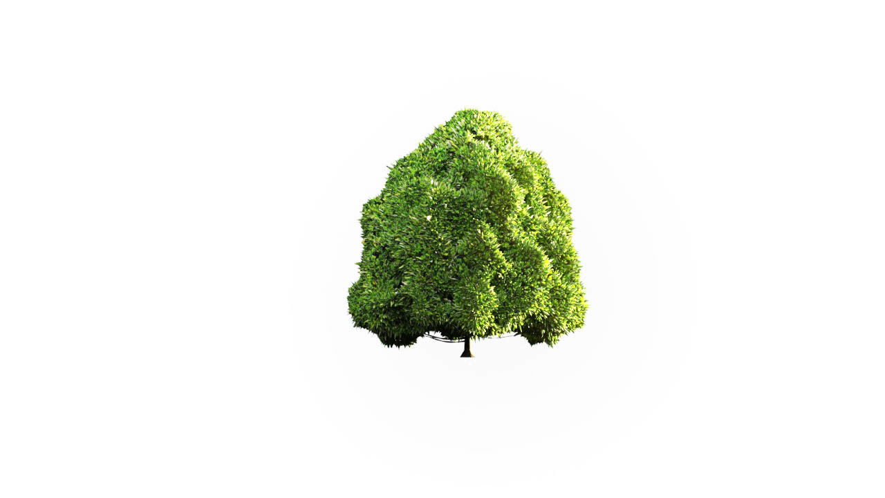 Low Poly Forest Summer Autumn Winter Stylish Low-poly 3D model_12