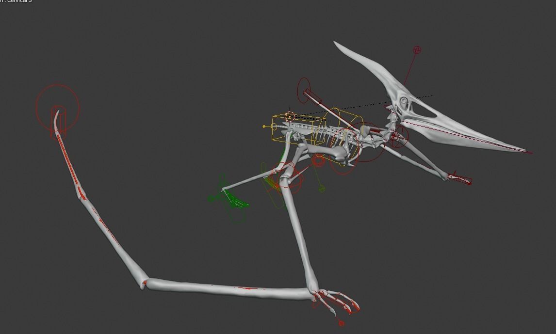 Pteranodon Skeleton 3D model Low-poly 3D model_35