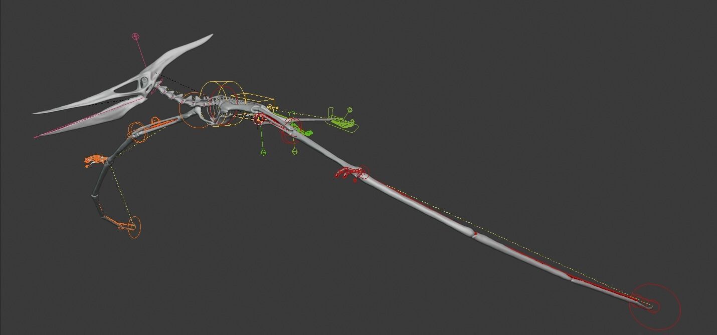 Pteranodon Skeleton 3D model Low-poly 3D model_34