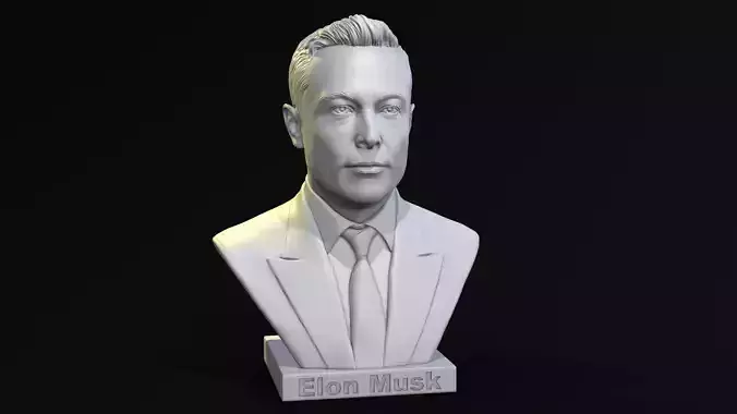 Elon Musk bust 3D print model