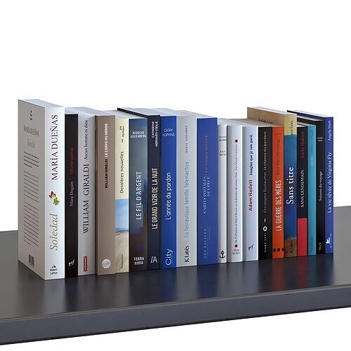 Books Set 09 Digest 3D model