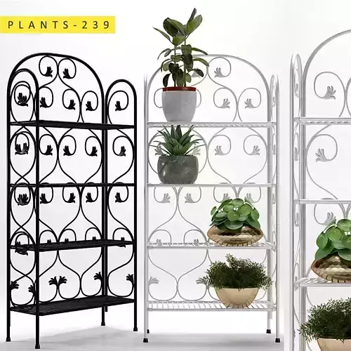 PLANTS 239
