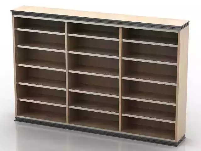 Bookcase with shelves