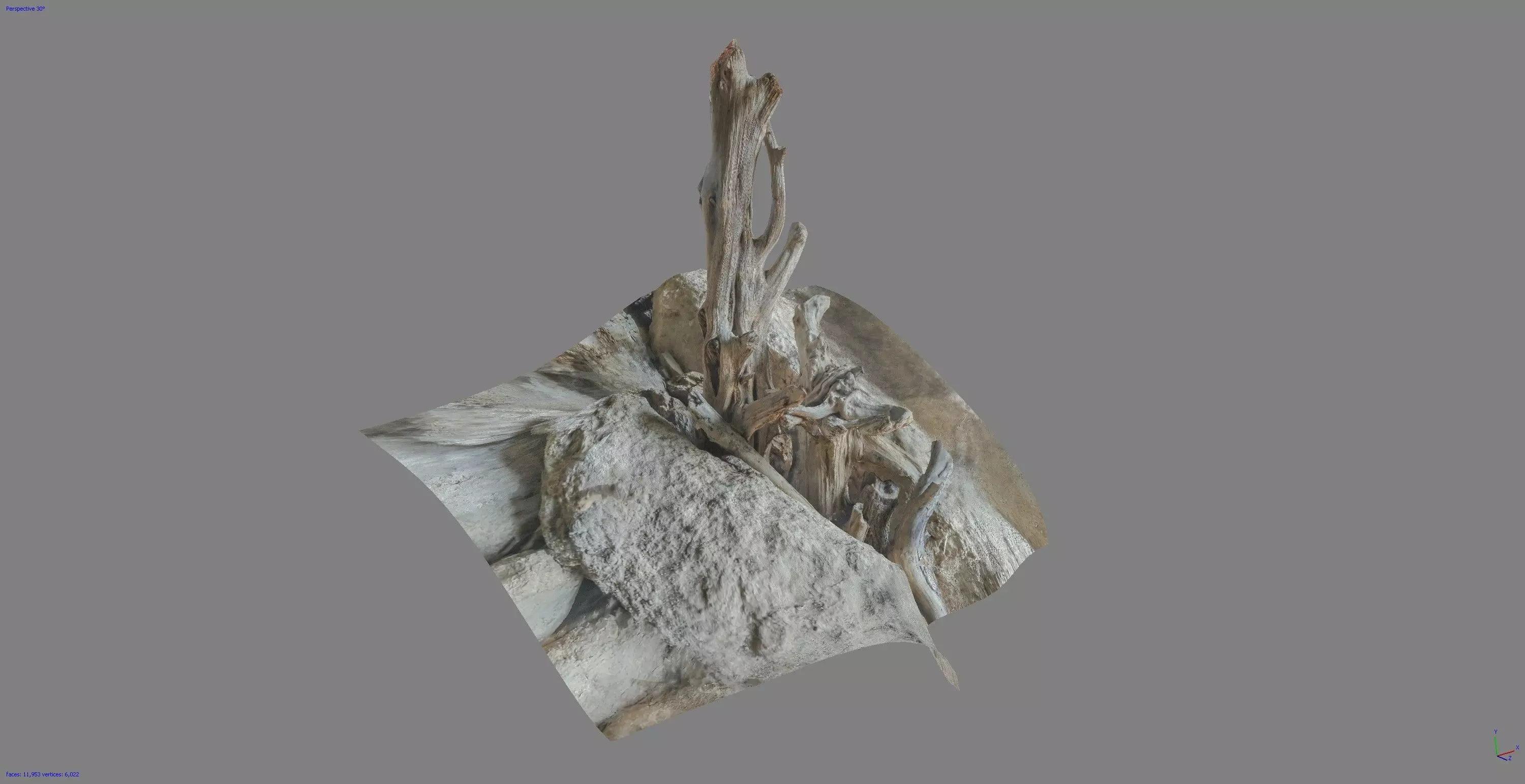 Dead tree on a rock Free low-poly 3D model_0
